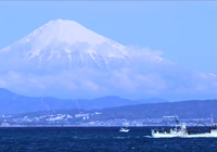 富士山的景觀